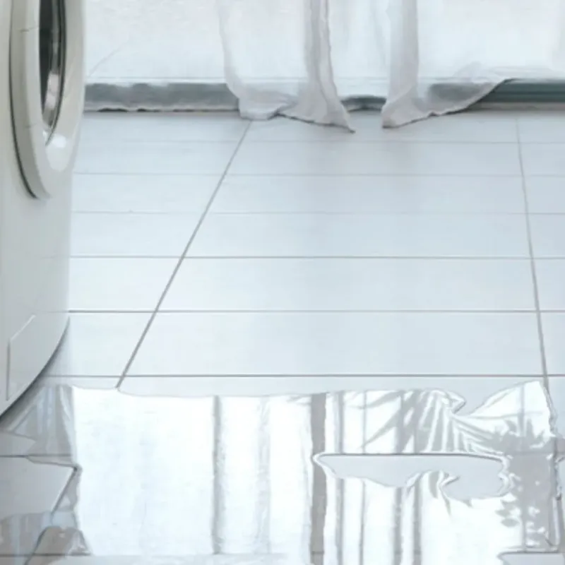 Appliance Leak Cleanup in North La Crosse, WI
