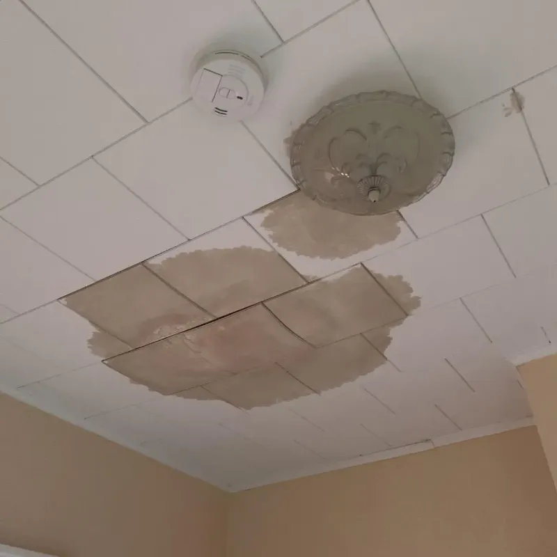 Ceiling Water Damage Repair in North La Crosse, WI