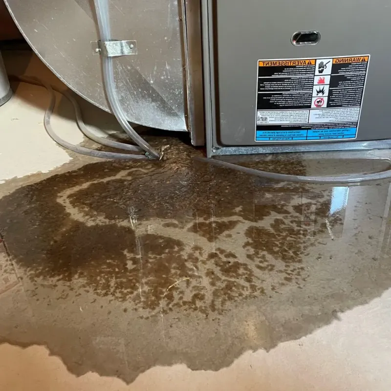 Pipe Burst and Leak Restoration in North La Crosse, WI